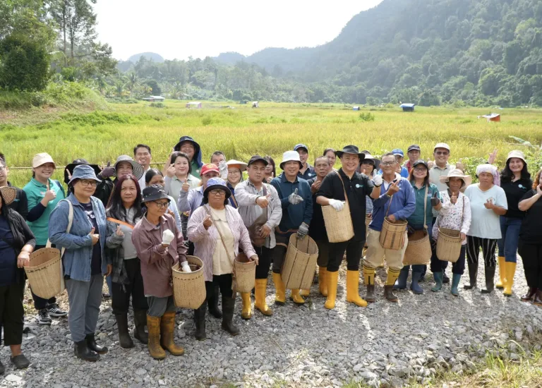 Paddy program
